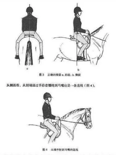 中级骑术怎么学　中级骑术在哪学