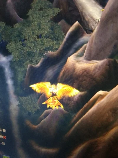 魔兽世界日光峰林飞鹰掉落与获得攻略