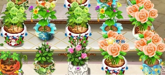 玫瑰小镇全面攻略：任务、花房升级与密钥种植解析