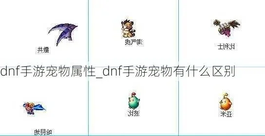 dnf手游宠物鸟-dnf宠物鸟：冒险好伙伴