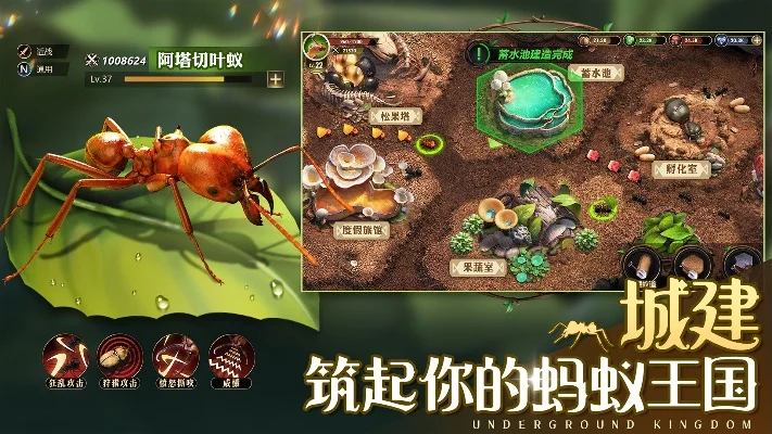 蚂蚁攻城小游戏排行榜-蚂蚁攻城游戏推荐