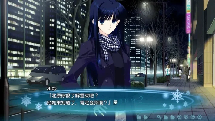 白色相簿2攻略-白相簿2攻略指南