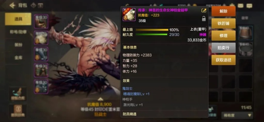 dnf手游装备讲解大全-dnf装备详解与提升