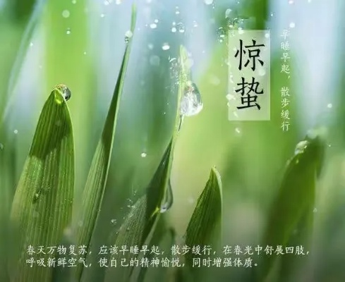 二十四节气里惊蛰的蛰是什么意思-惊蛰“蛰”的含义解析