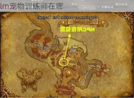外域宠物训练师在哪-外域宠物训练师位置指南