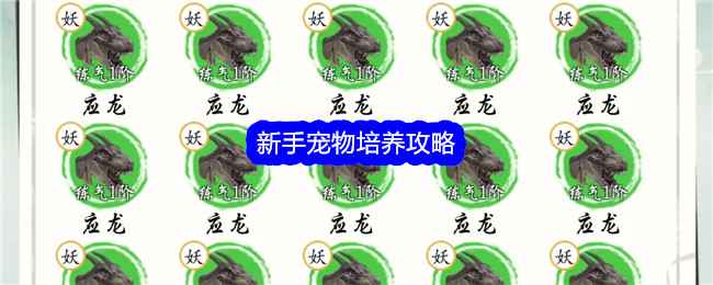 所谓修真：新手宠物培养攻略与进阶之道