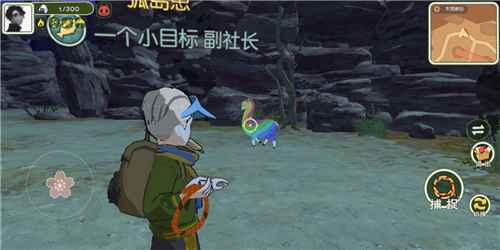 木灵峡谷：追踪小森生活彩色羊驼的最佳地点