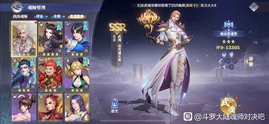 月关魂环搭配深度解析：策略与实战搭配指南