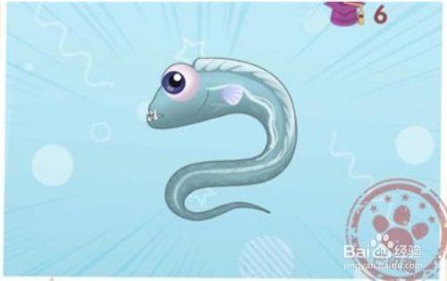 摩尔庄园带鱼钓法全攻略