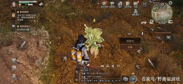 明日之后哈密瓜怎么找：详细位置与采集方法指南