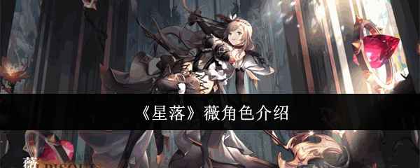 星落薇怎么样：详细介绍与价值评估