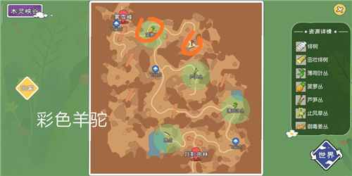 木灵峡谷：追踪小森生活彩色羊驼的最佳地点