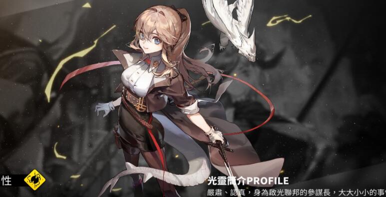 白夜极光雷队怎么搭才强
