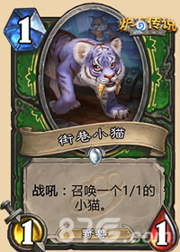 炉石传说街巷小猫卡牌解析：属性、战吼与实用性全解析
