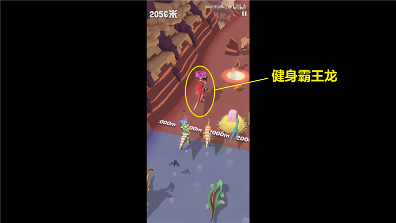 疯狂动物园的特殊动物怎么获得