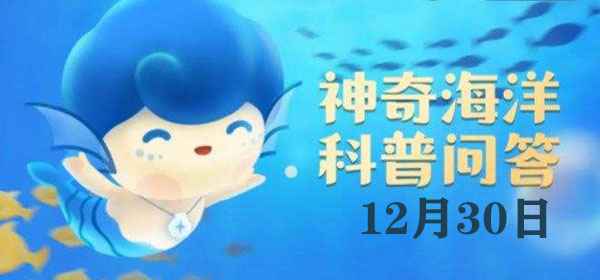 海鸥的神奇本领：淡化海水