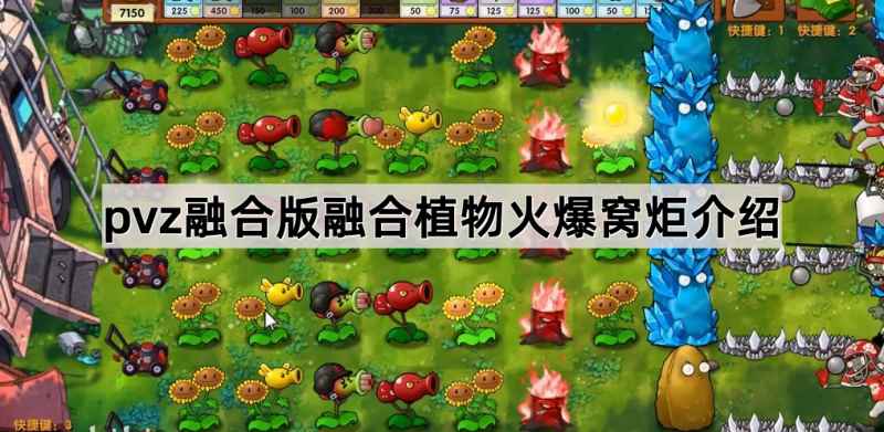 火爆窝炬在植物大战僵尸融合版里的强大之处解析