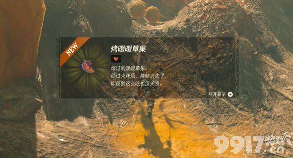 王国之泪风滚草大扫除任务攻略：高效清理与奖励获取