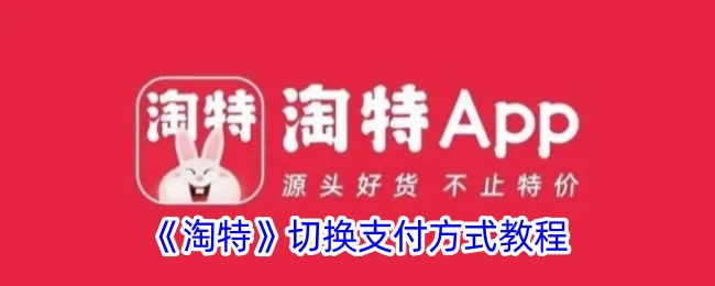 淘特支付方式怎么选