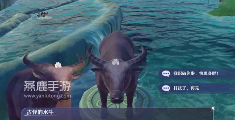 梦幻新诛仙怕水的小水牛位置及寻找方法详解