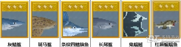 潜水员戴夫蓝洞入口三星鱼图鉴全解析：鱼类分布、抓捕技巧与完整指南