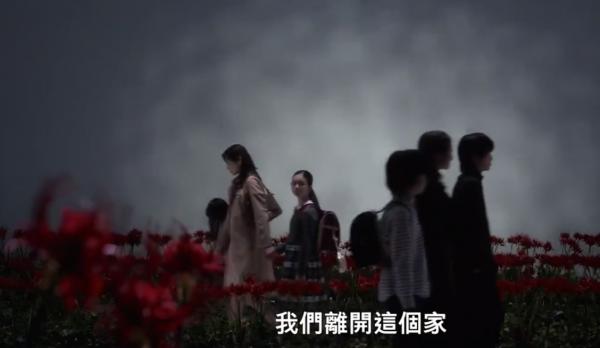 火烧御手洗家网剧怎么样：复仇悬疑剧潜力分析