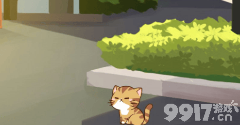 猫宅97铲屎官的日常：围绕猫咪吃喝玩乐的养成攻略