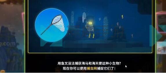 潜水员戴夫抓海马全攻略：任务步骤与技巧详解