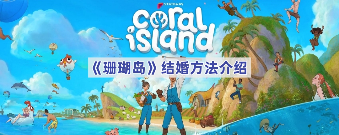 珊瑚岛游戏结婚攻略全解析