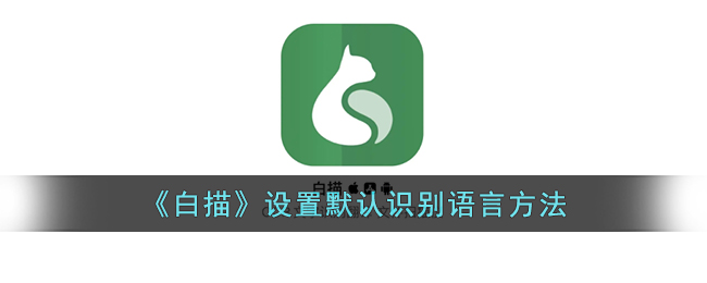 白描APP识别语言设置全攻略：轻松搞定默认识别语言