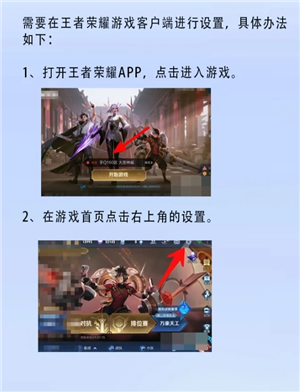 王者荣耀隐私设置全攻略：如何隐藏战绩与保护个人信息