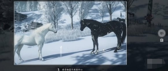 燕云十六声寻二马记任务全攻略