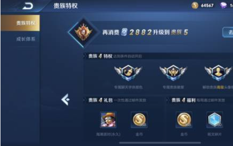 王者荣耀贵族V10费用详解：18888.8元，价值几何？