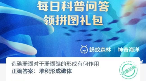 珊瑚礁的奥秘：造礁珊瑚如何塑造海洋家园