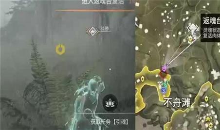 火焰龟美味烹饪全攻略：解锁红烧与炖汤的精髓