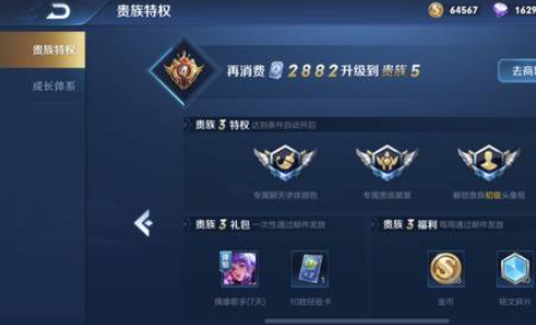 王者荣耀贵族V10费用详解：18888.8元，价值几何？