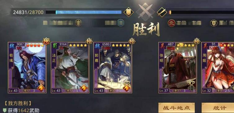 法正的玩法思路与体系构建解析