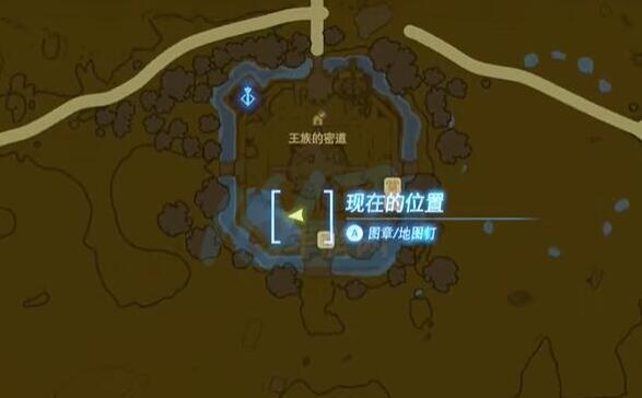 王国之泪空中花瓣怎么刷全攻略