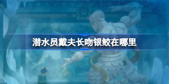 潜水员戴夫长吻银鲛的捕捉攻略：揭秘其藏身地点与价值