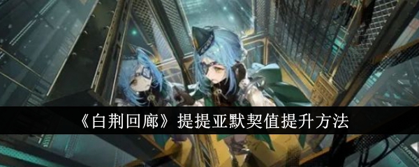 白荆回廊提提亚默契值提升攻略