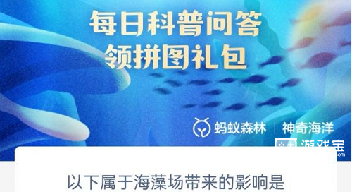 海藻场：海洋中的绿色卫士——吸收二氧化碳与增加海洋碳汇