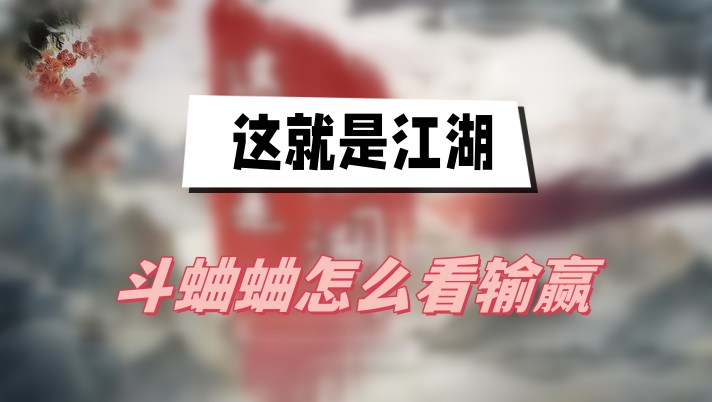 江湖斗蛐蛐：看输赢的简单方法与心得