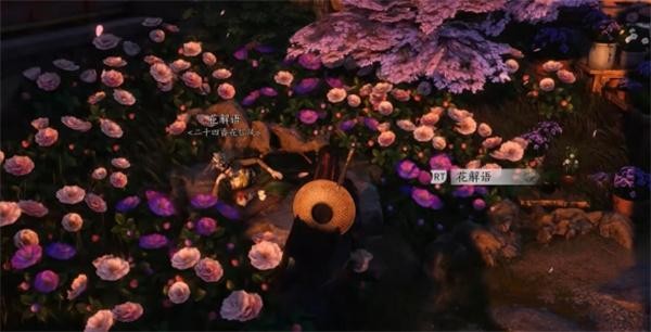 燕云十六声海棠醉梦任务全解析