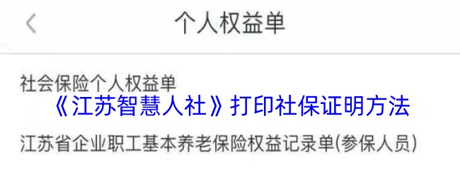 江苏智慧人社社保清单打印全攻略