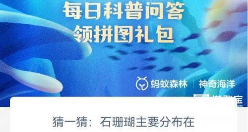 猜一猜石珊瑚主要分布在哪里