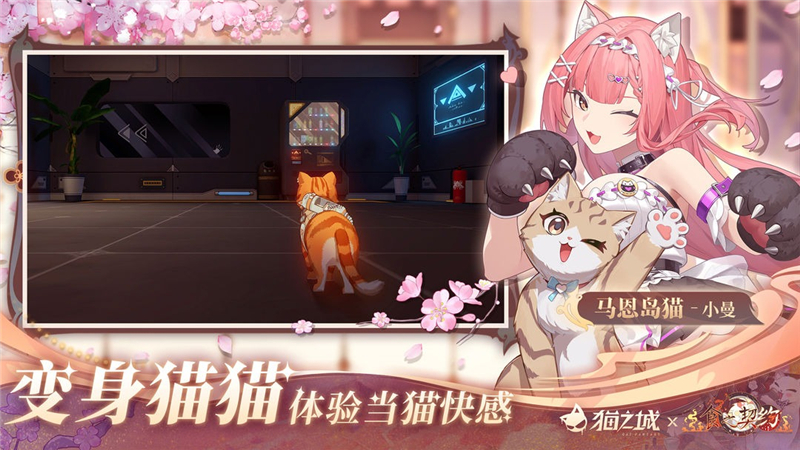 猫之城召唤点数继承机制全解析