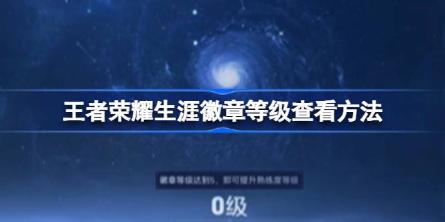 王者荣耀生涯徽章等级查询指南：简单几步即可查看