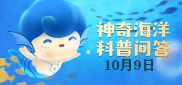 潮汐的真正原因：天体引潮力解析