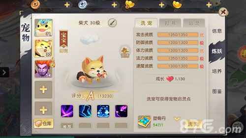 火王手游宠物战力提升全攻略