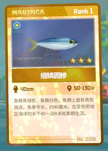 潜水员戴夫细鳞圆鰺的抓捕心得